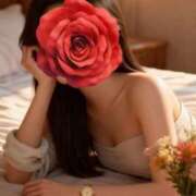 ヒメ日記 2025/11/25 11:27 投稿 白川瑛梨 プレジデントハウス