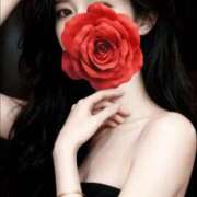 ヒメ日記 2025/11/26 21:01 投稿 白川瑛梨 プレジデントハウス