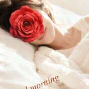 ヒメ日記 2025/11/28 08:10 投稿 白川瑛梨 プレジデントハウス