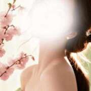 ヒメ日記 2026/04/13 12:40 投稿 白川瑛梨 プレジデントハウス