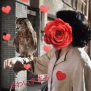 白川瑛梨 こんばんは プレジデントハウス