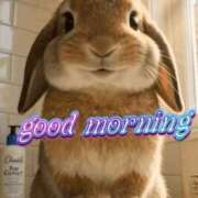 白川瑛梨 おはようございます プレジデントハウス