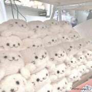 ヒメ日記 2025/01/28 07:57 投稿 かなえ【ロイヤルOP対応】 あなたの全てを包み込む　優しいひとづま