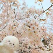 ヒメ日記 2025/04/09 23:36 投稿 かなえ【ロイヤルOP対応】 あなたの全てを包み込む　優しいひとづま