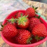 ヒメ日記 2025/04/10 12:14 投稿 かなえ【ロイヤルOP対応】 あなたの全てを包み込む　優しいひとづま