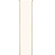 ヒメ日記 2025/06/05 07:01 投稿 かなえ【ロイヤルOP対応】 あなたの全てを包み込む　優しいひとづま