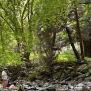 ヒメ日記 2025/07/20 09:37 投稿 かなえ【ロイヤルOP対応】 あなたの全てを包み込む　優しいひとづま