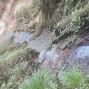 ヒメ日記 2025/09/01 21:46 投稿 かなえ【ロイヤルOP対応】 あなたの全てを包み込む　優しいひとづま