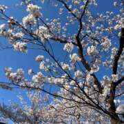 ヒメ日記 2025/04/11 17:46 投稿 ゆいな 新潟デリヘル倶楽部