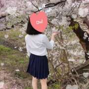 ヒメ日記 2025/04/12 00:16 投稿 ゆいな 新潟デリヘル倶楽部