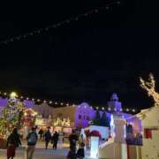 ヒメ日記 2025/12/30 15:02 投稿 新人・かれん シャブール