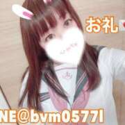 ヒメ日記 2025/04/13 08:27 投稿 めろん チューリップ熊本店