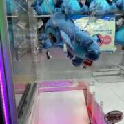 ヒメ日記 2025/02/18 23:45 投稿 りょうか 千葉人妻花壇