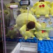 ヒメ日記 2025/04/16 09:06 投稿 りょうか 千葉人妻花壇