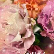 ヒメ日記 2025/04/30 02:51 投稿 りょうか 千葉人妻花壇