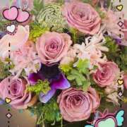 ヒメ日記 2025/11/18 23:22 投稿 りょうか 千葉人妻花壇