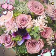 ヒメ日記 2025/12/07 15:38 投稿 りょうか 千葉人妻花壇