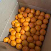 ヒメ日記 2025/12/20 00:39 投稿 りょうか 千葉人妻花壇