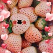 ヒメ日記 2026/01/13 01:27 投稿 りょうか 千葉人妻花壇