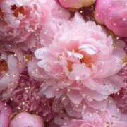 ヒメ日記 2024/12/24 18:25 投稿 らら 素人妻御奉仕倶楽部Hip's取手店