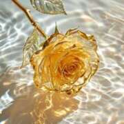 ヒメ日記 2025/02/12 23:05 投稿 らら 素人妻御奉仕倶楽部Hip's取手店