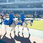 ヒメ日記 2025/02/15 15:05 投稿 らら 素人妻御奉仕倶楽部Hip's取手店