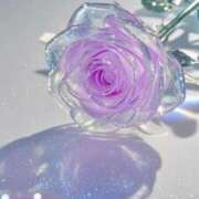 ヒメ日記 2025/03/15 15:25 投稿 らら 素人妻御奉仕倶楽部Hip's取手店