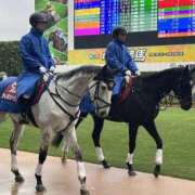 ヒメ日記 2025/03/16 23:25 投稿 らら 素人妻御奉仕倶楽部Hip's取手店