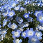 ヒメ日記 2025/04/26 18:15 投稿 らら 素人妻御奉仕倶楽部Hip's取手店