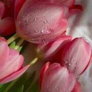 ヒメ日記 2025/05/02 11:05 投稿 らら 素人妻御奉仕倶楽部Hip's取手店