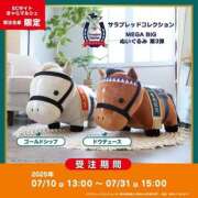 ヒメ日記 2025/07/14 20:05 投稿 らら 素人妻御奉仕倶楽部Hip's取手店