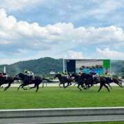 ヒメ日記 2025/07/21 15:02 投稿 らら 素人妻御奉仕倶楽部Hip's取手店