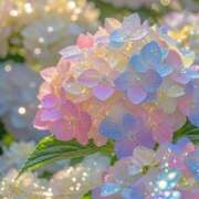 ヒメ日記 2025/08/03 19:51 投稿 らら 素人妻御奉仕倶楽部Hip's取手店