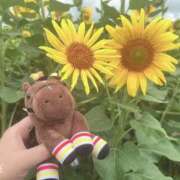 ヒメ日記 2025/08/12 22:31 投稿 らら 素人妻御奉仕倶楽部Hip's取手店