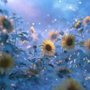 ヒメ日記 2025/08/15 18:21 投稿 らら 素人妻御奉仕倶楽部Hip's取手店