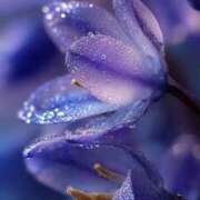 ヒメ日記 2025/09/04 14:51 投稿 らら 素人妻御奉仕倶楽部Hip's取手店