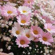 ヒメ日記 2025/09/05 13:01 投稿 らら 素人妻御奉仕倶楽部Hip's取手店