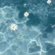 ヒメ日記 2025/09/06 10:01 投稿 らら 素人妻御奉仕倶楽部Hip's取手店