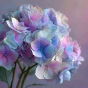 ヒメ日記 2025/09/18 14:31 投稿 らら 素人妻御奉仕倶楽部Hip's取手店