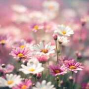 ヒメ日記 2025/11/22 10:52 投稿 らら 素人妻御奉仕倶楽部Hip's取手店