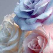 ヒメ日記 2025/11/23 14:02 投稿 らら 素人妻御奉仕倶楽部Hip's取手店