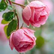 ヒメ日記 2025/11/28 14:02 投稿 らら 素人妻御奉仕倶楽部Hip's取手店