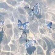 ヒメ日記 2025/11/29 17:02 投稿 らら 素人妻御奉仕倶楽部Hip's取手店