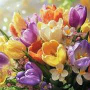 ヒメ日記 2025/12/11 12:39 投稿 らら 素人妻御奉仕倶楽部Hip's取手店