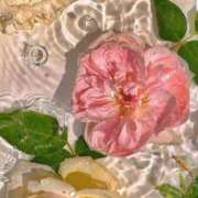 ヒメ日記 2025/12/11 13:41 投稿 らら 素人妻御奉仕倶楽部Hip's取手店