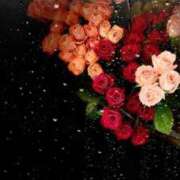 ヒメ日記 2025/12/22 18:32 投稿 らら 素人妻御奉仕倶楽部Hip's取手店