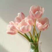 ヒメ日記 2025/12/30 20:02 投稿 らら 素人妻御奉仕倶楽部Hip's取手店