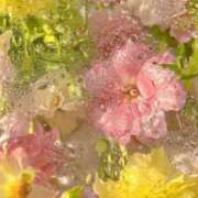 ヒメ日記 2026/01/16 12:01 投稿 らら 素人妻御奉仕倶楽部Hip's取手店