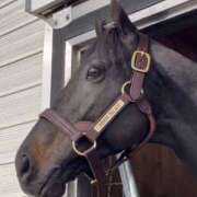 らら 🐎❤️ 素人妻御奉仕倶楽部Hip's取手店