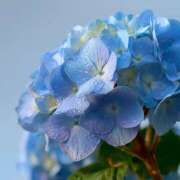 らら 💝 素人妻御奉仕倶楽部Hip's取手店